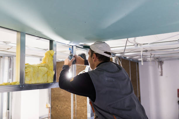 Best Soundproof Insulation  in Beloit, WI