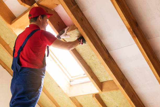 Best Basement Insulation  in Beloit, WI